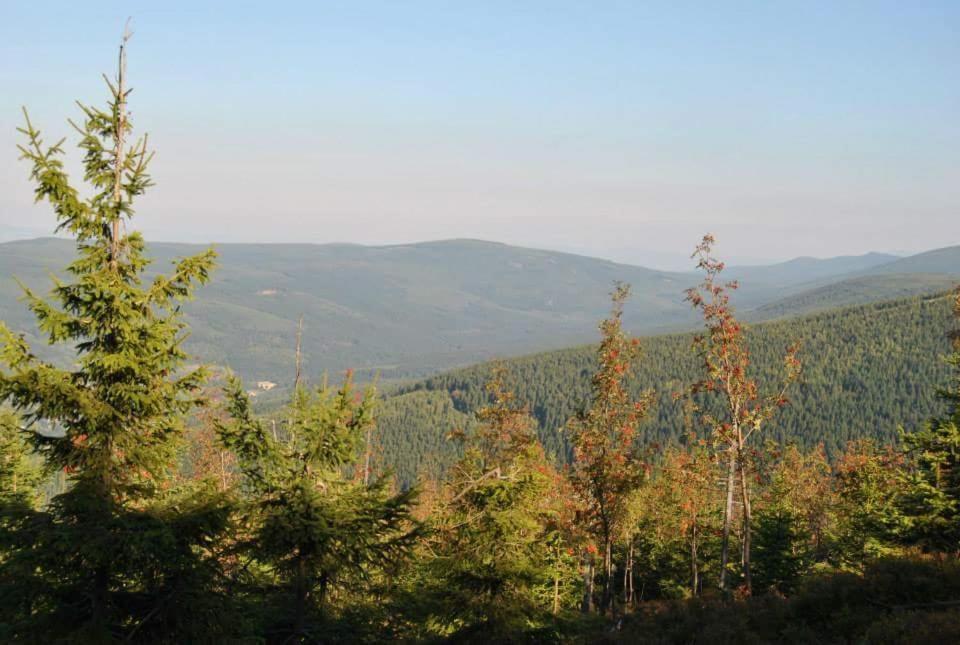 Dom Goscinny Finezja Swieradow-Zdroj Exterior foto
